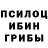Галлюциногенные грибы Cubensis Shooter Minecrafter