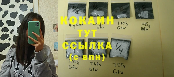 прущие грибы Балабаново