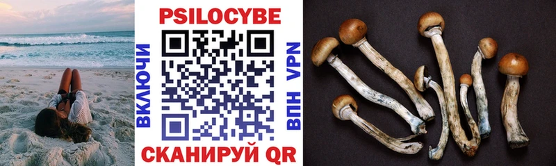 Псилоцибиновые грибы GOLDEN TEACHER  наркошоп  Приморск 